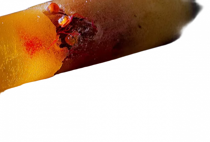 Герметизирующий гель Пуласт в фольгированной упаковке, 270г