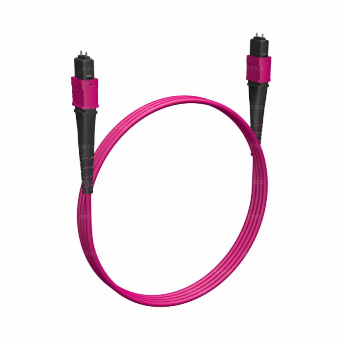 Волоконно-оптическая сборка trunk NTSS PREMIUM 24ов, MTP/UPC (female)-MTP/UPC (female), полярность А, 50/125 OM4, 1м, LSZH