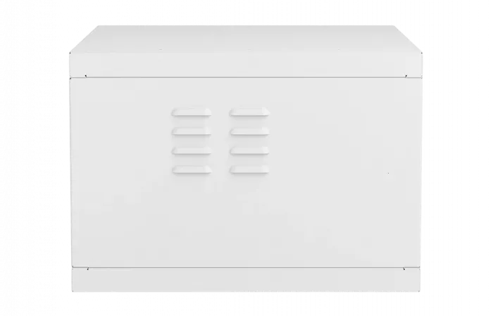 Шкаф антивандальный настенный ШАН-Э 19" 6U(600*550) ССД