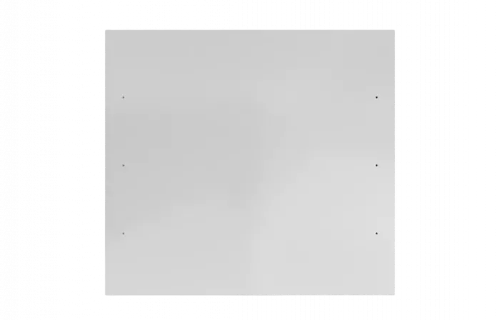 Шкаф антивандальный настенный ШАН-Э 19" 12U(600*550) ССД