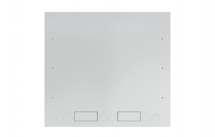 Шкаф антивандальный настенный ШАН-Э 19" 9U(600*550) ССД