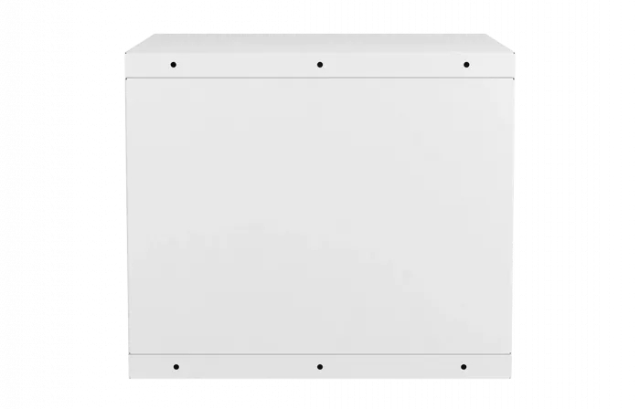 Шкаф антивандальный настенный ШАН-Э 19" 9U(600*550) ССД