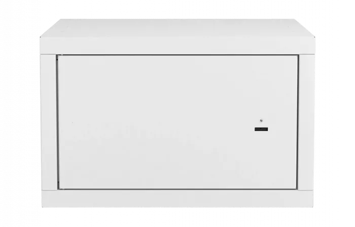 Шкаф антивандальный настенный ШАН-Э 19" 6U(600*550) ССД
